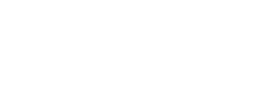 Pro Loft Conversions white logo